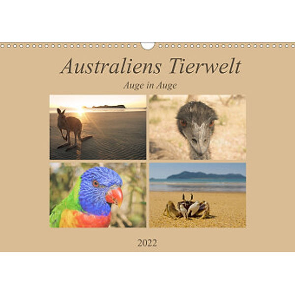 Australiens Tierwelt - Auge in Auge (Wandkalender 2022 DIN A3 quer), Martin Wasilewski