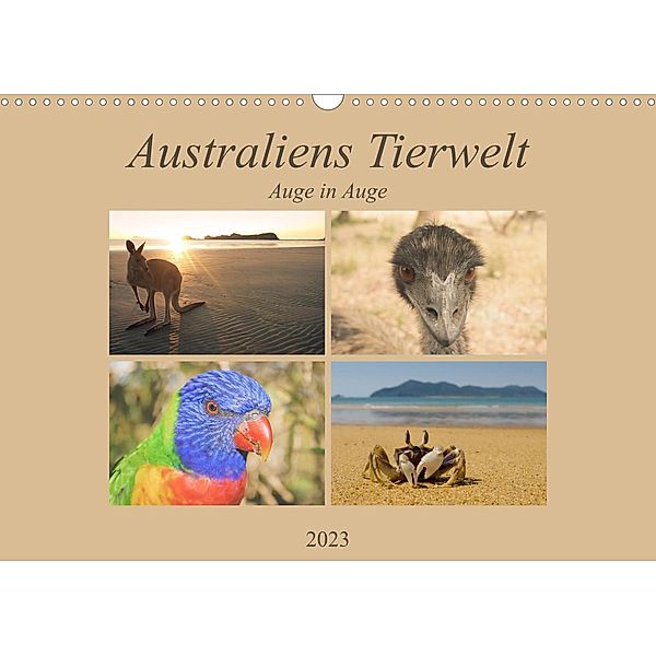 Australiens Tierwelt - Auge in Auge (Wandkalender 2023 DIN A3 quer), Martin Wasilewski