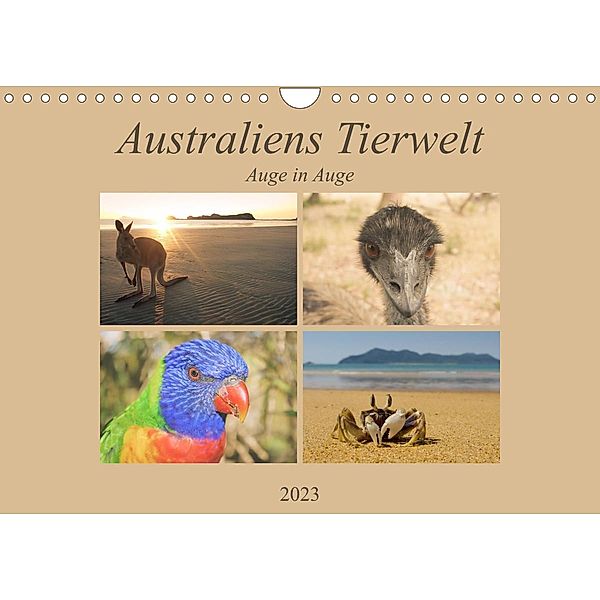 Australiens Tierwelt - Auge in Auge (Wandkalender 2023 DIN A4 quer), Martin Wasilewski