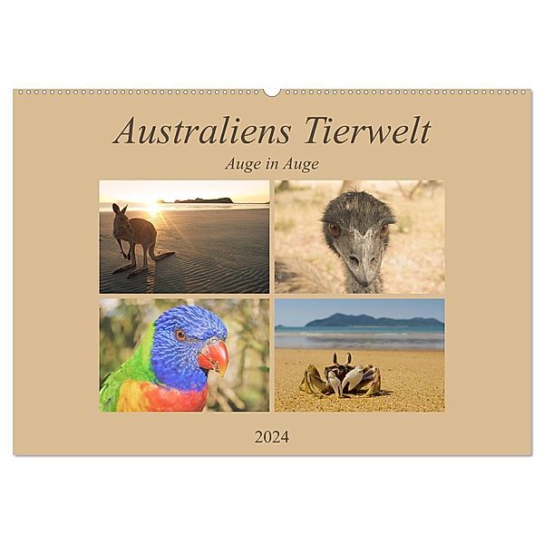 Australiens Tierwelt - Auge in Auge (Wandkalender 2024 DIN A2 quer), CALVENDO Monatskalender, Martin Wasilewski