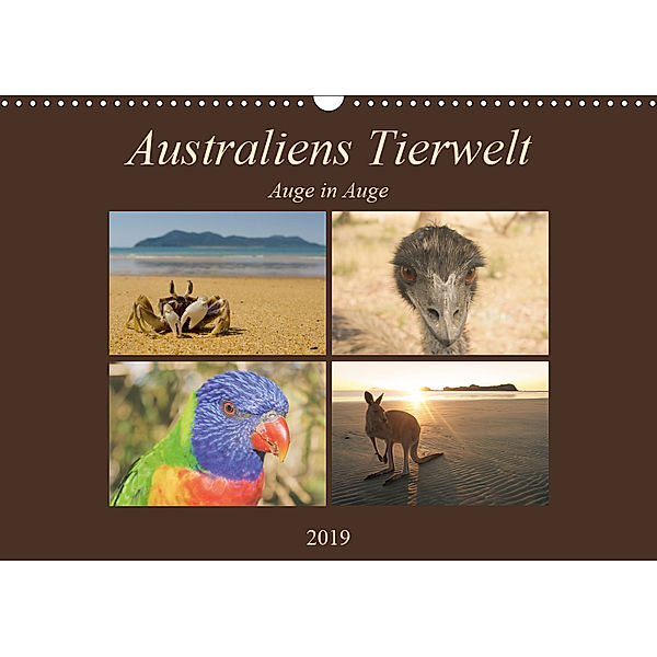 Australiens Tierwelt - Auge in AugeAT-Version (Wandkalender 2019 DIN A3 quer), Martin Wasilewski