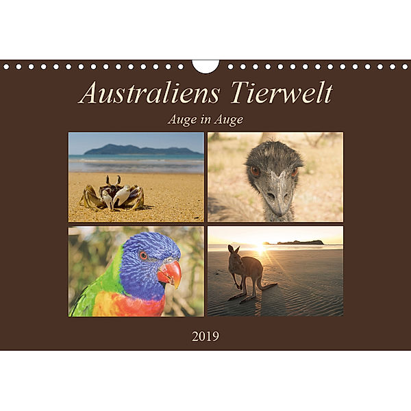 Australiens Tierwelt - Auge in AugeAT-Version (Wandkalender 2019 DIN A4 quer), Martin Wasilewski