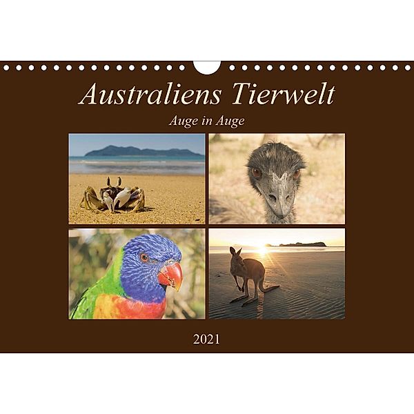Australiens Tierwelt - Auge in AugeAT-Version (Wandkalender 2021 DIN A4 quer), Martin Wasilewski