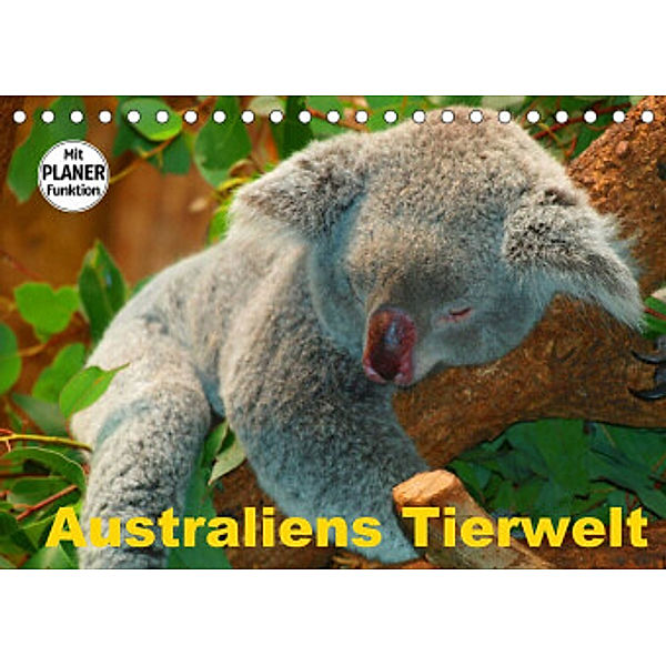 Australiens Tierwelt (Tischkalender 2022 DIN A5 quer), Elisabeth Stanzer