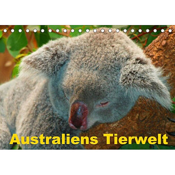 Australiens Tierwelt (Tischkalender 2022 DIN A5 quer), Elisabeth Stanzer