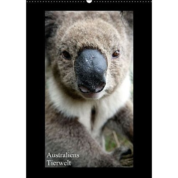 Australiens Tierwelt (Wandkalender 2015 DIN A2 hoch), Martin Wasilewski