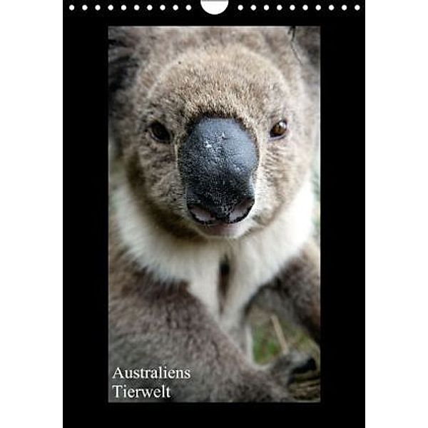 Australiens Tierwelt (Wandkalender 2015 DIN A4 hoch), Martin Wasilewski