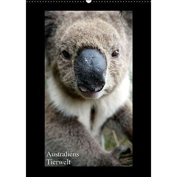 Australiens Tierwelt (Wandkalender 2016 DIN A2 hoch), Martin Wasilewski
