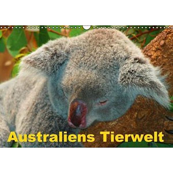 Australiens Tierwelt (Wandkalender 2016 DIN A3 quer), Elisabeth Stanzer