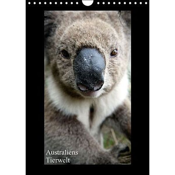 Australiens Tierwelt (Wandkalender 2016 DIN A4 hoch), Martin Wasilewski