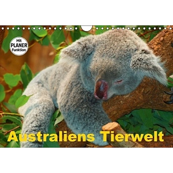 Australiens Tierwelt (Wandkalender 2016 DIN A4 quer), Elisabeth Stanzer