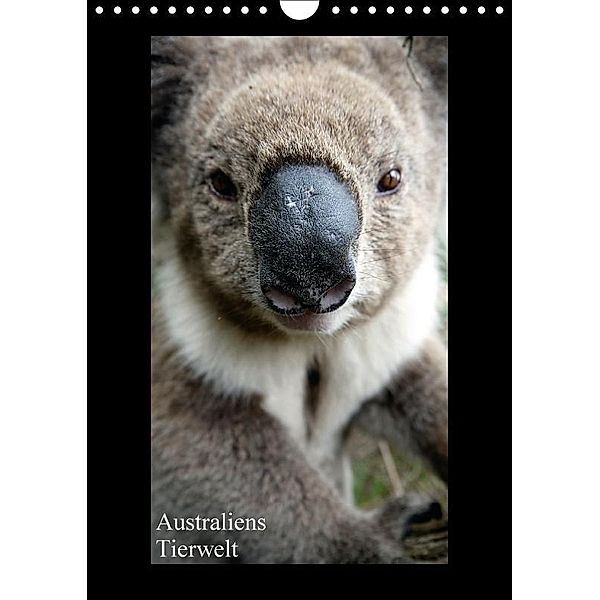Australiens Tierwelt (Wandkalender 2017 DIN A4 hoch), Martin Wasilewski