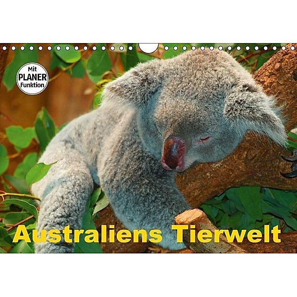 Australiens Tierwelt (Wandkalender 2017 DIN A4 quer), Elisabeth Stanzer