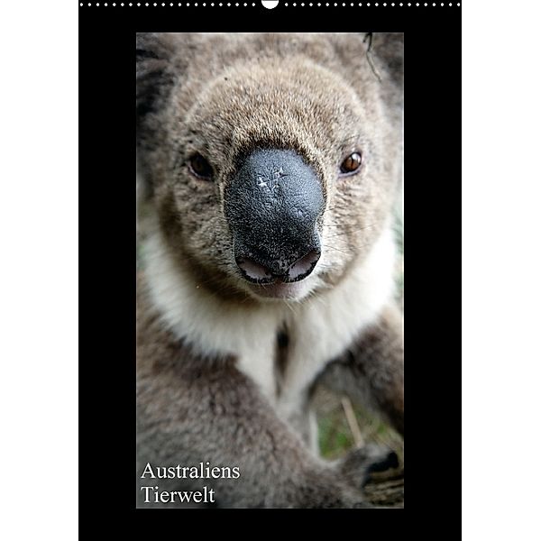 Australiens Tierwelt (Wandkalender 2018 DIN A2 hoch), Martin Wasilewski