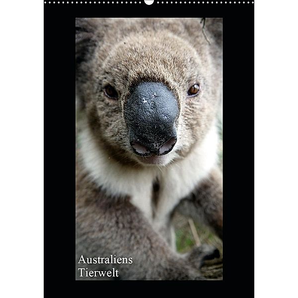 Australiens Tierwelt (Wandkalender 2020 DIN A2 hoch), Martin Wasilewski