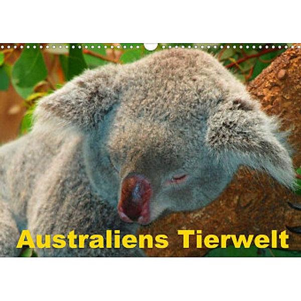 Australiens Tierwelt (Wandkalender 2022 DIN A3 quer), Elisabeth Stanzer