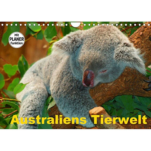 Australiens Tierwelt (Wandkalender 2022 DIN A4 quer), Elisabeth Stanzer