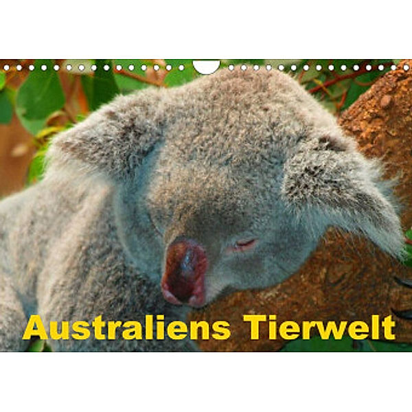 Australiens Tierwelt (Wandkalender 2022 DIN A4 quer), Elisabeth Stanzer