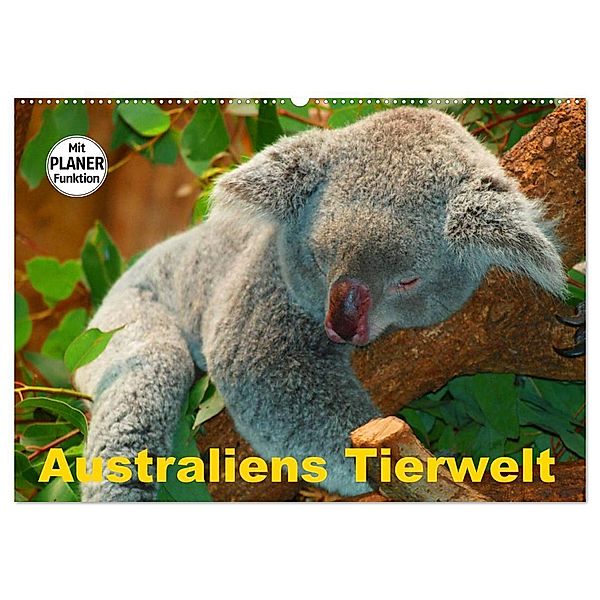 Australiens Tierwelt (Wandkalender 2024 DIN A2 quer), CALVENDO Monatskalender, Elisabeth Stanzer