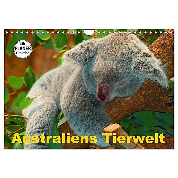 Australiens Tierwelt (Wandkalender 2024 DIN A4 quer), CALVENDO Monatskalender, Elisabeth Stanzer