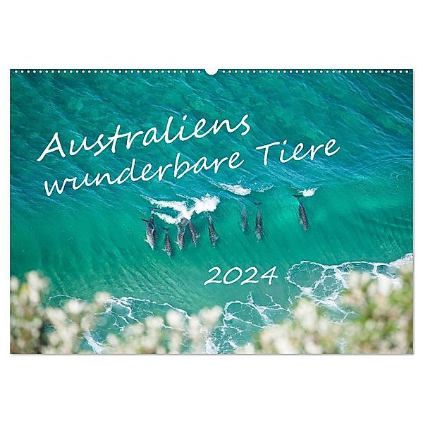 Australiens wunderbare Tiere (Wandkalender 2024 DIN A2 quer), CALVENDO Monatskalender, Jiri Viehmann