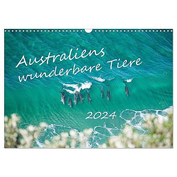 Australiens wunderbare Tiere (Wandkalender 2024 DIN A3 quer), CALVENDO Monatskalender, Jiri Viehmann
