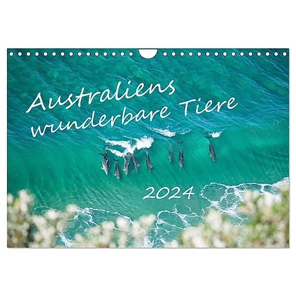 Australiens wunderbare Tiere (Wandkalender 2024 DIN A4 quer), CALVENDO Monatskalender, Jiri Viehmann