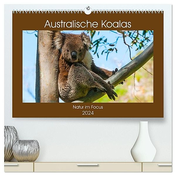 Australische Koalas (hochwertiger Premium Wandkalender 2024 DIN A2 quer), Kunstdruck in Hochglanz, Sidney Smith