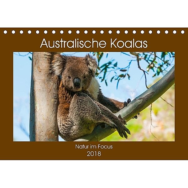 Australische Koalas (Tischkalender 2018 DIN A5 quer), Sidney Smith