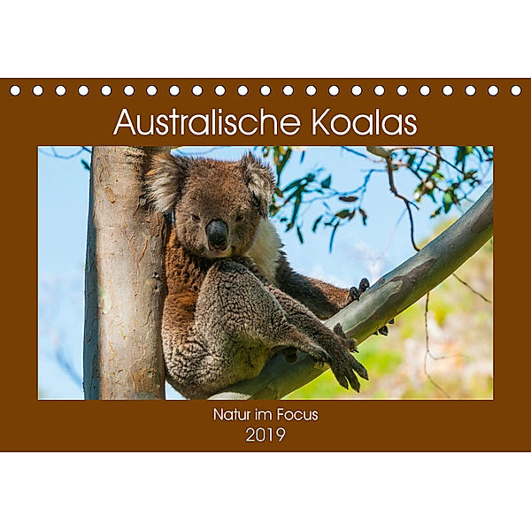 Australische Koalas (Tischkalender 2019 DIN A5 quer), Sidney Smith