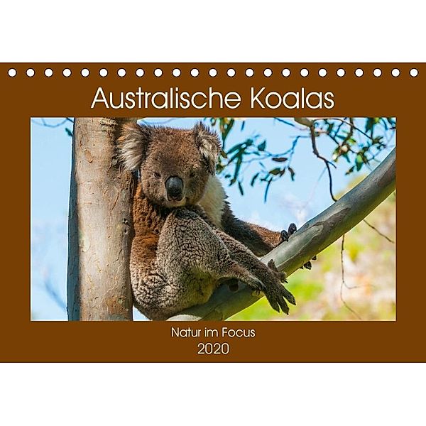 Australische Koalas (Tischkalender 2020 DIN A5 quer), Sidney Smith