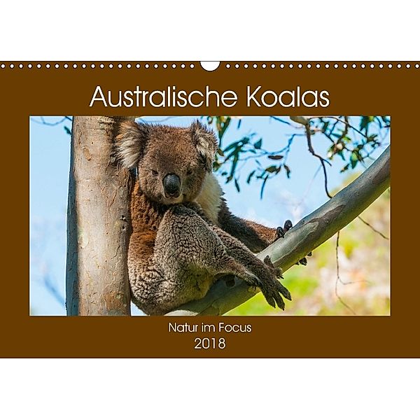 Australische Koalas (Wandkalender 2018 DIN A3 quer), Sidney Smith