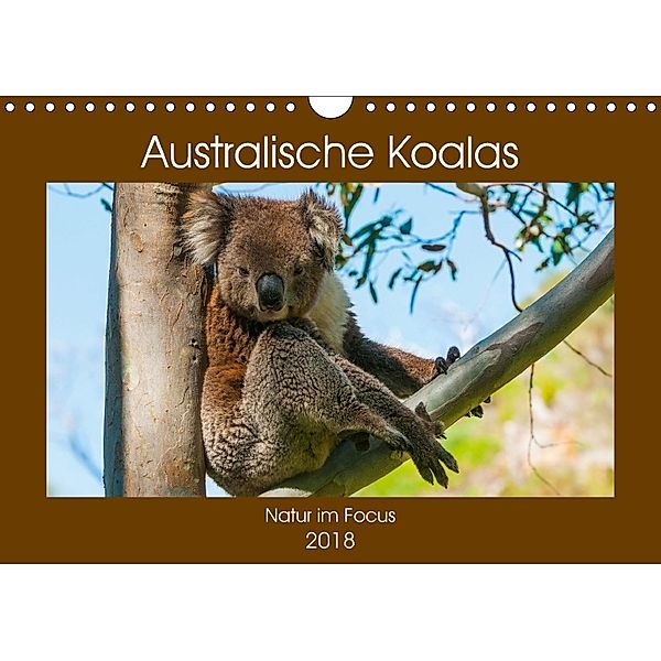 Australische Koalas (Wandkalender 2018 DIN A4 quer), Sidney Smith