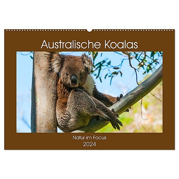 Australische Koalas (Wandkalender 2024 DIN A2 quer), CALVENDO Monatskalender, Sidney Smith