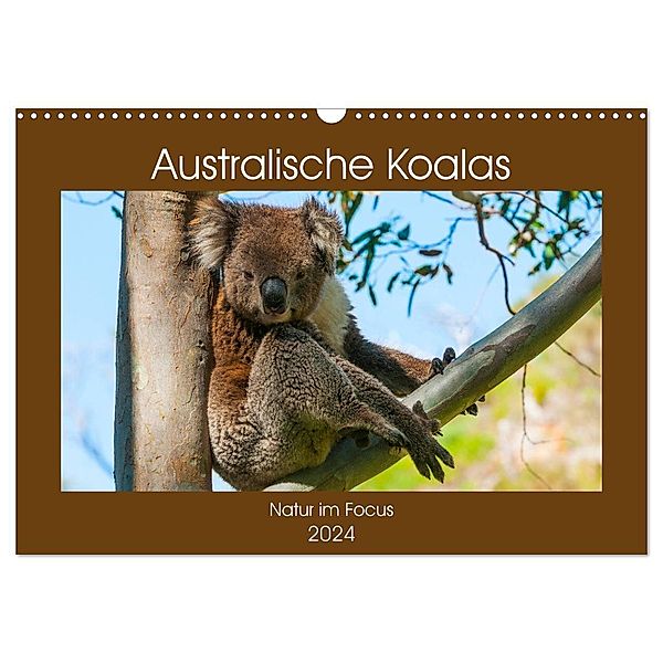Australische Koalas (Wandkalender 2024 DIN A3 quer), CALVENDO Monatskalender, Sidney Smith