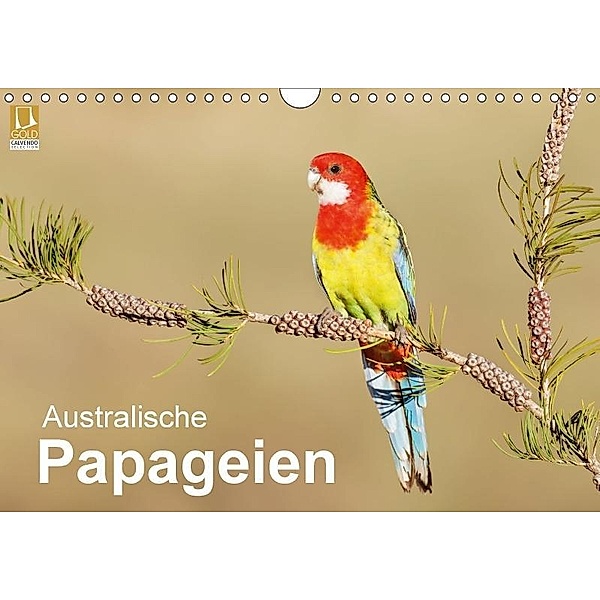 Australische Papageien (Wandkalender 2017 DIN A4 quer), BIA - birdimagency