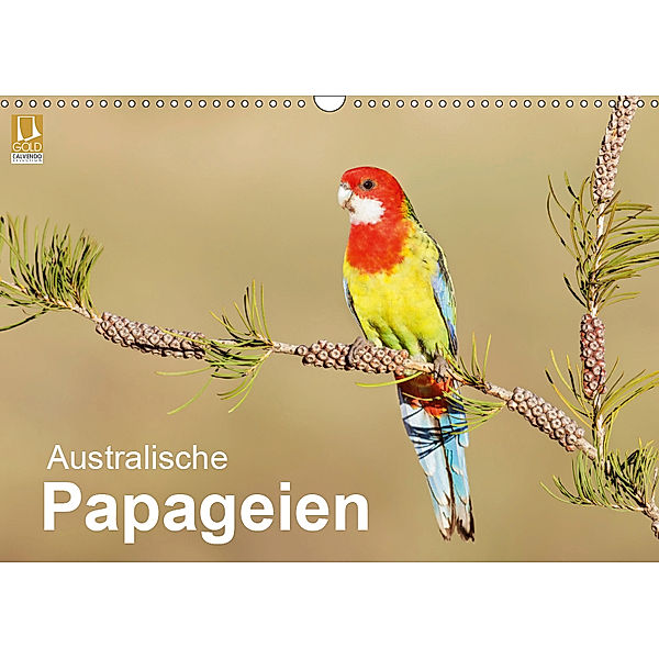 Australische Papageien (Wandkalender 2019 DIN A3 quer), BIA - birdimagency