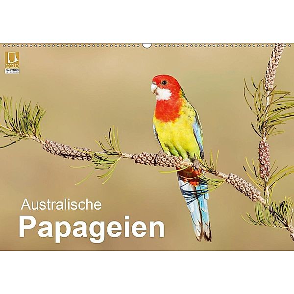 Australische Papageien (Wandkalender 2020 DIN A2 quer), BIA - birdimagency
