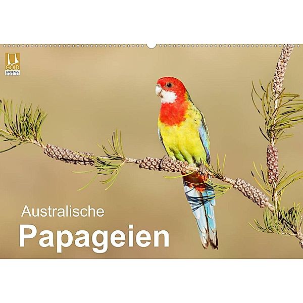 Australische Papageien (Wandkalender 2023 DIN A2 quer), BIA - birdimagency