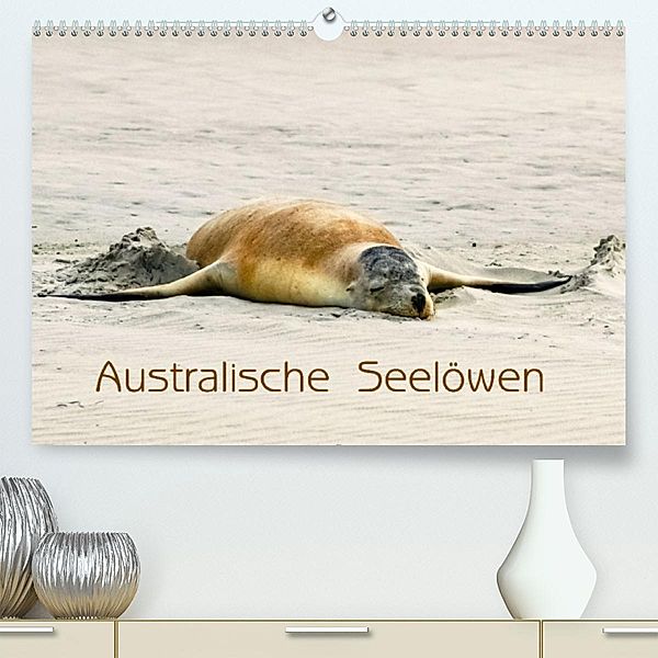Australische Seelöwen (Premium, hochwertiger DIN A2 Wandkalender 2023, Kunstdruck in Hochglanz), Silvia Drafz
