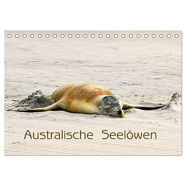 Australische Seelöwen (Tischkalender 2025 DIN A5 quer), CALVENDO Monatskalender, Calvendo, Silvia Drafz