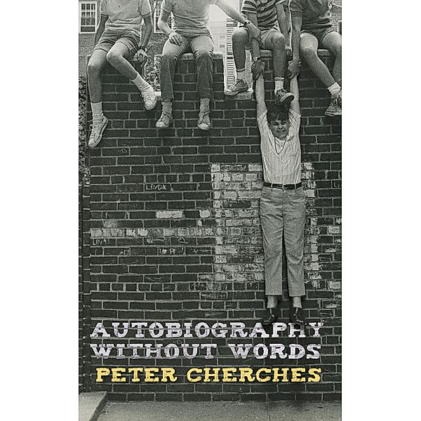 Autobiography Without Words, Peter Cherches