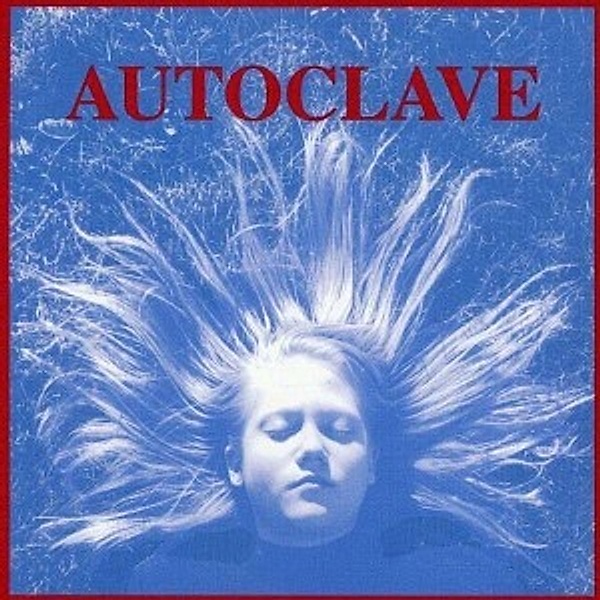 Autoclave, Autoclave