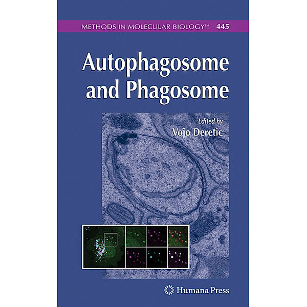 Autophagosome and Phagosome