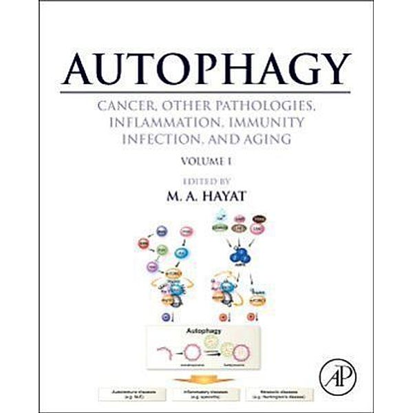 Autophagy: Cancer, Other Pathologies, Inflammation, Immunity, Infection, and Aging, M Hayat