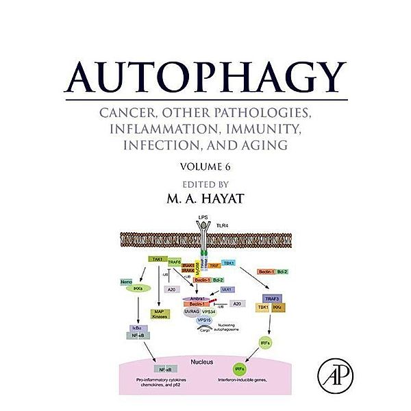 Autophagy: Cancer, Other Pathologies, Inflammation, Immunity, Infection, and Aging