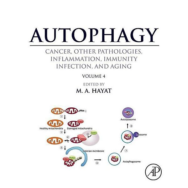 Autophagy: Cancer, Other Pathologies, Inflammation, Immunity, Infection, and Aging