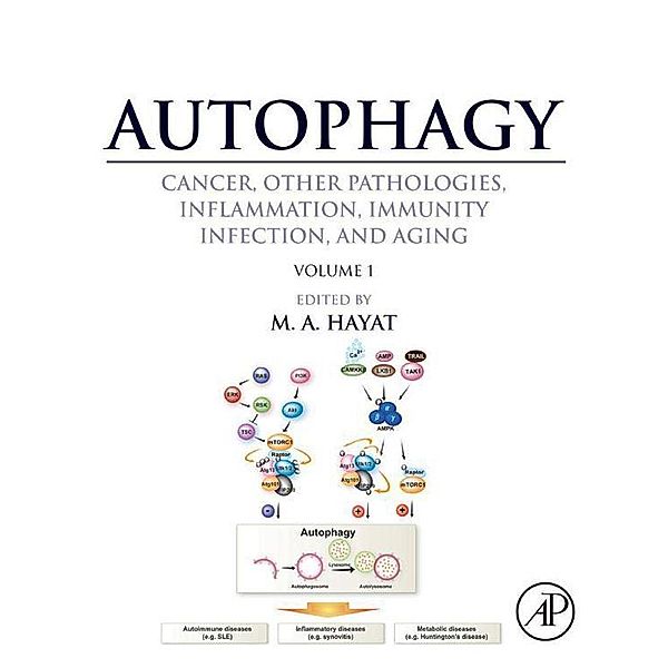 Autophagy: Cancer, Other Pathologies, Inflammation, Immunity, Infection, and Aging