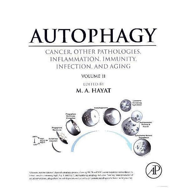 Autophagy: Cancer, Other Pathologies, Inflammation, Immunity, Infection, and Aging, M. Hayat