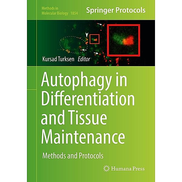 Autophagy in Differentiation and Tissue Maintenance / Methods in Molecular Biology Bd.1854